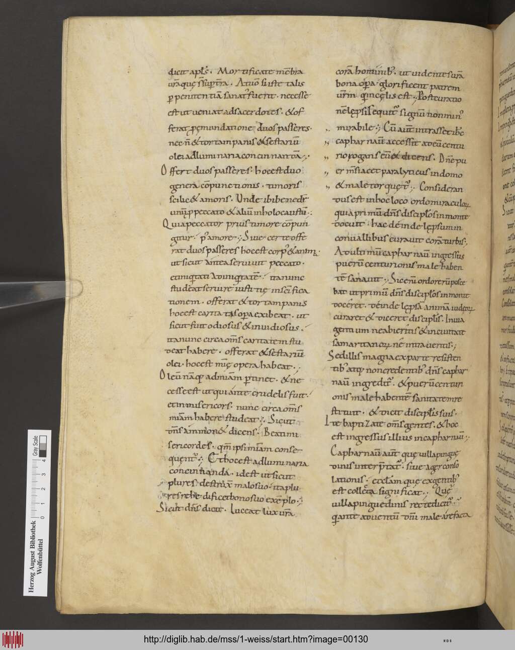 http://diglib.hab.de/mss/1-weiss/00130.jpg