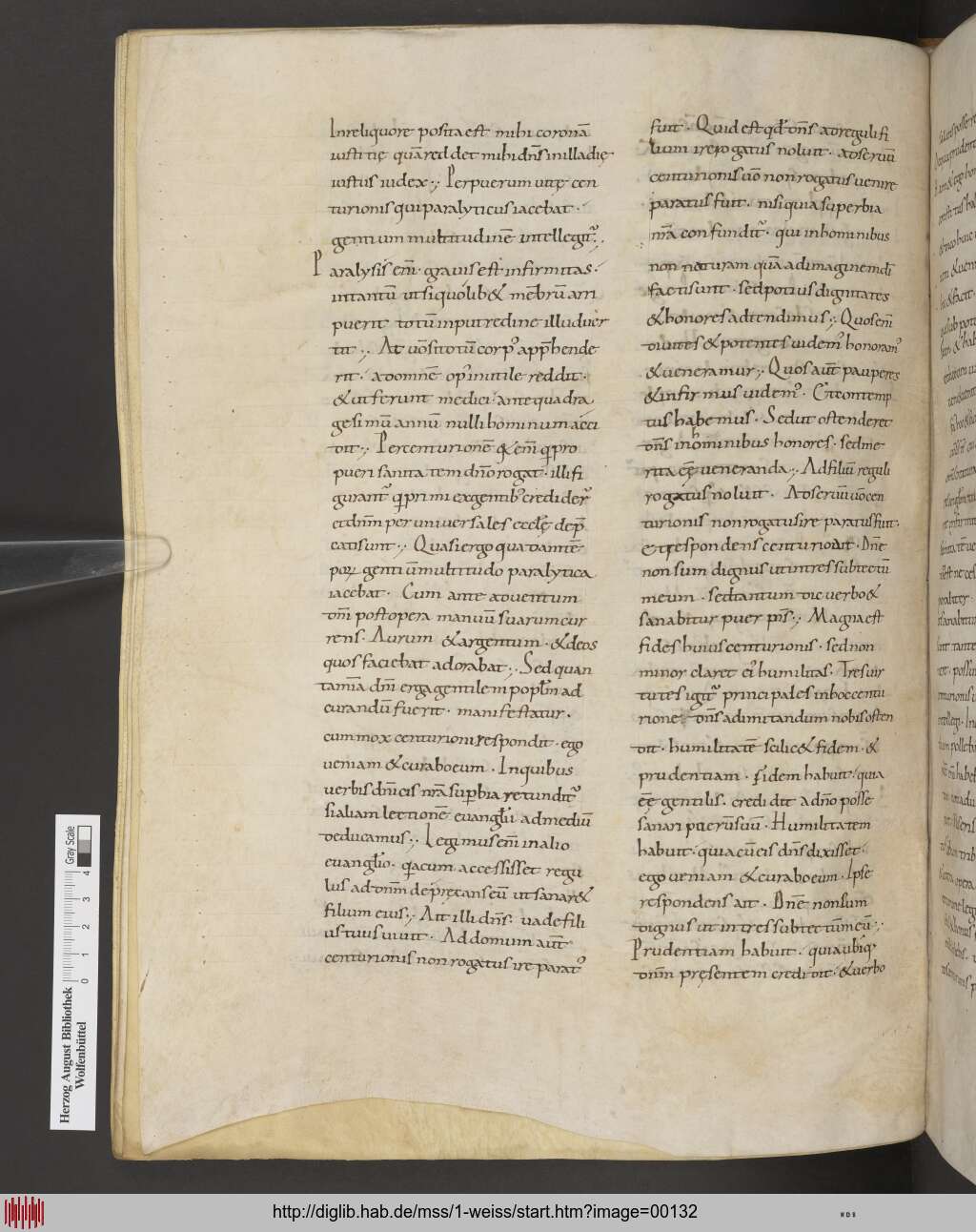 http://diglib.hab.de/mss/1-weiss/00132.jpg