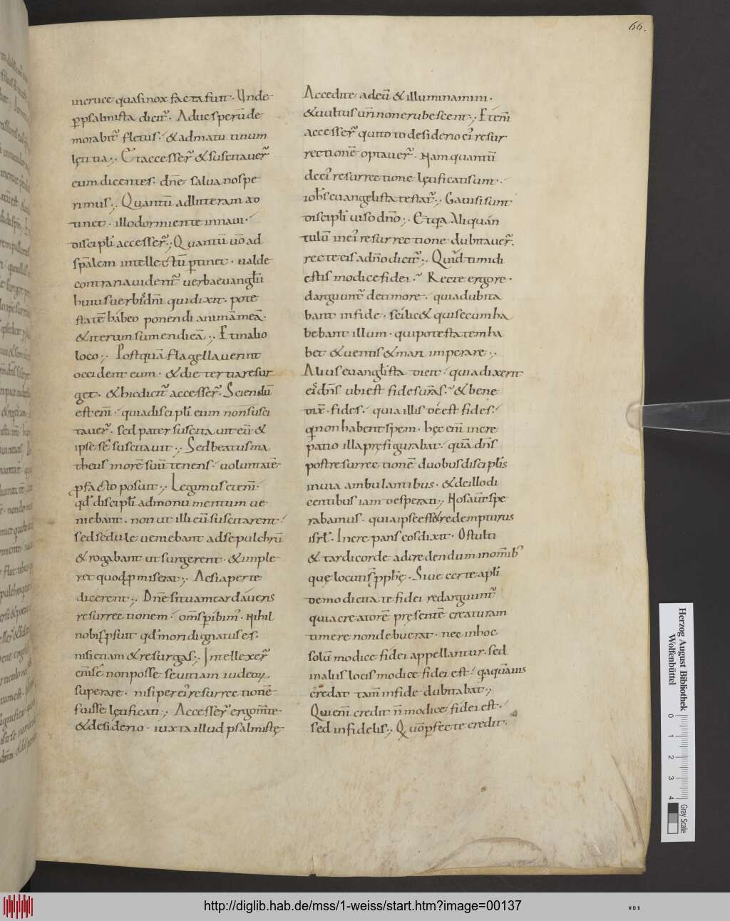 http://diglib.hab.de/mss/1-weiss/00137.jpg