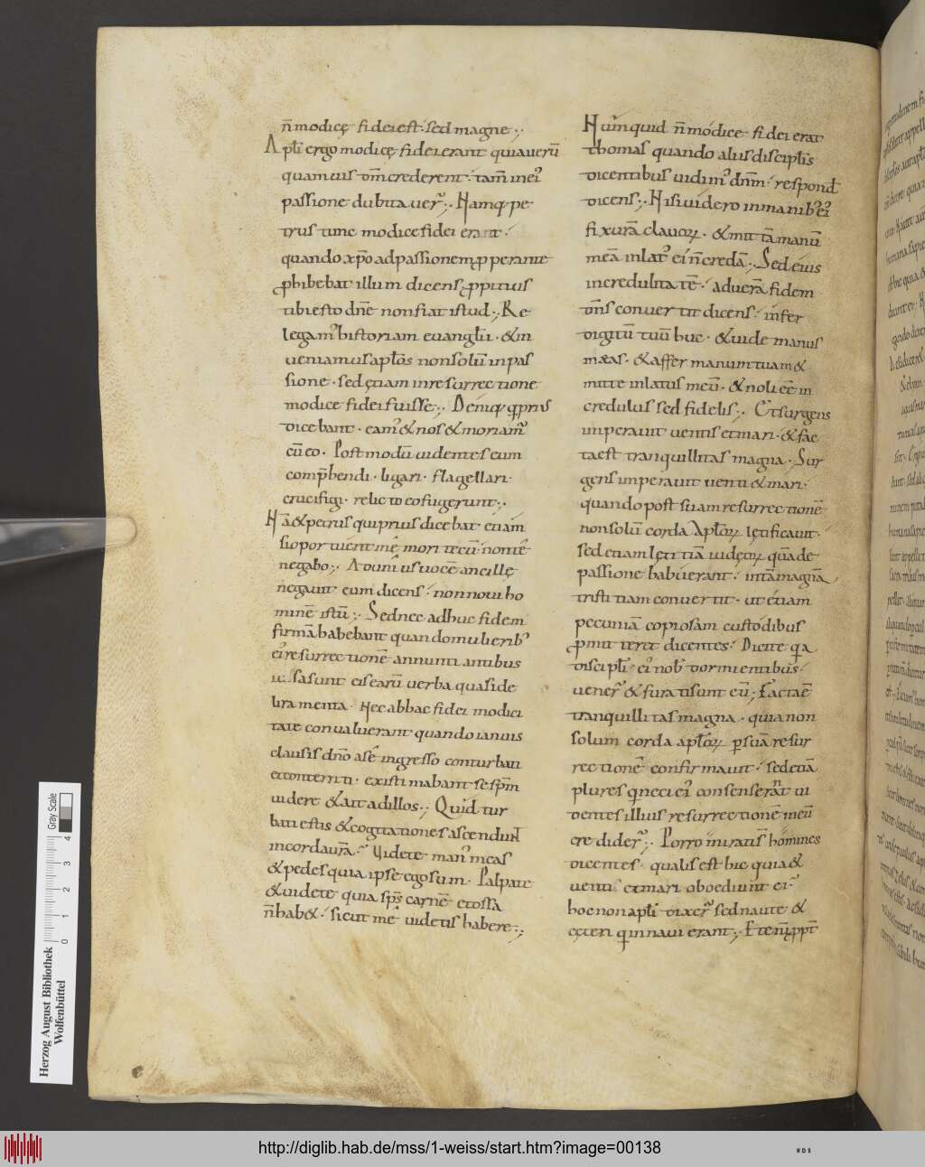http://diglib.hab.de/mss/1-weiss/00138.jpg