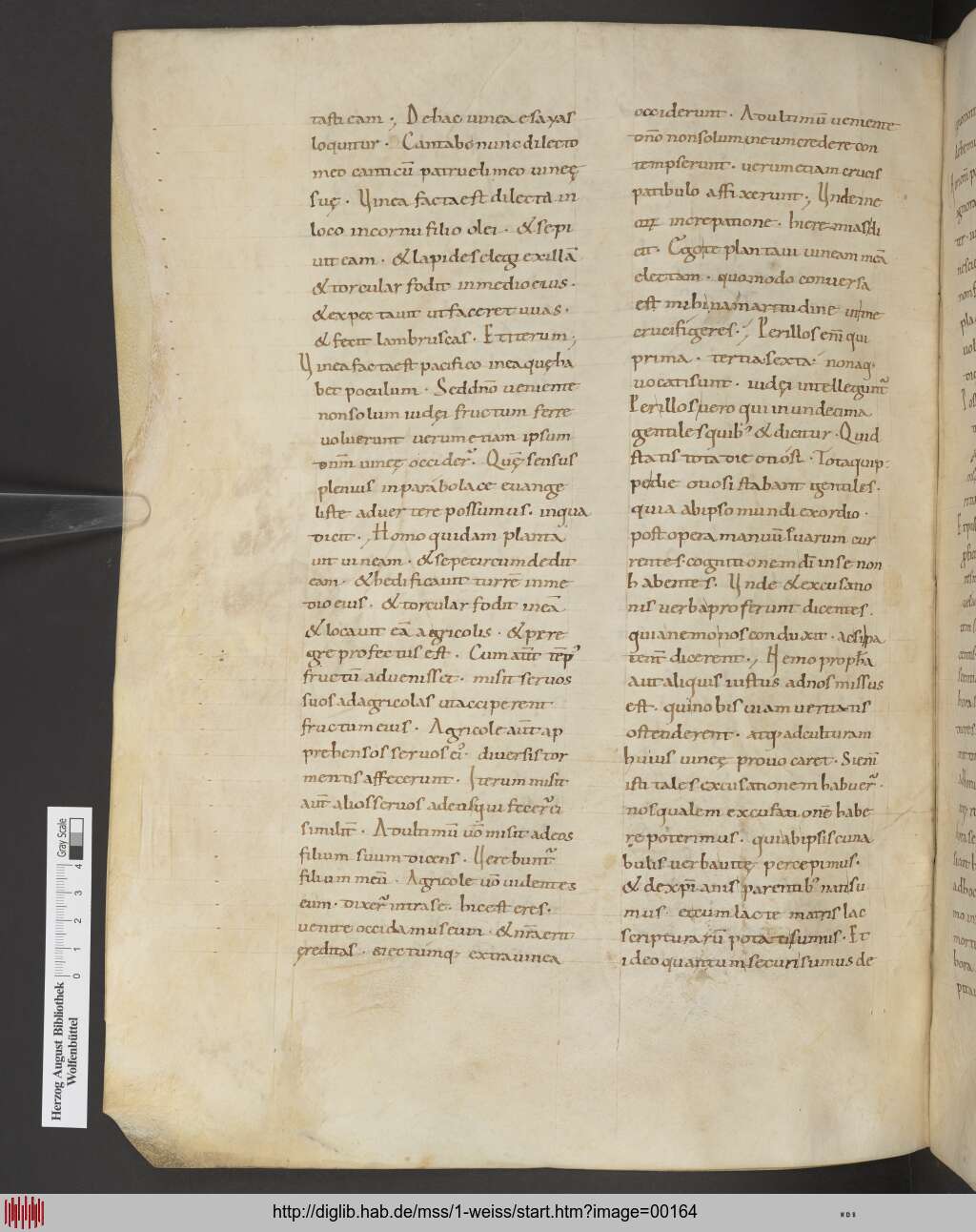 http://diglib.hab.de/mss/1-weiss/00164.jpg