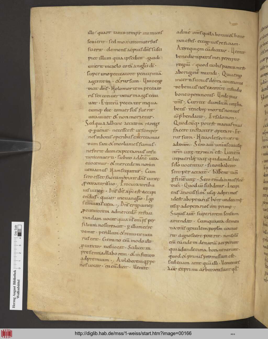 http://diglib.hab.de/mss/1-weiss/00166.jpg