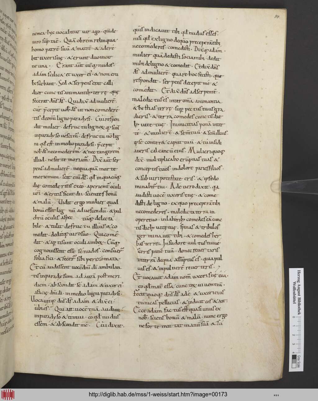 http://diglib.hab.de/mss/1-weiss/00173.jpg