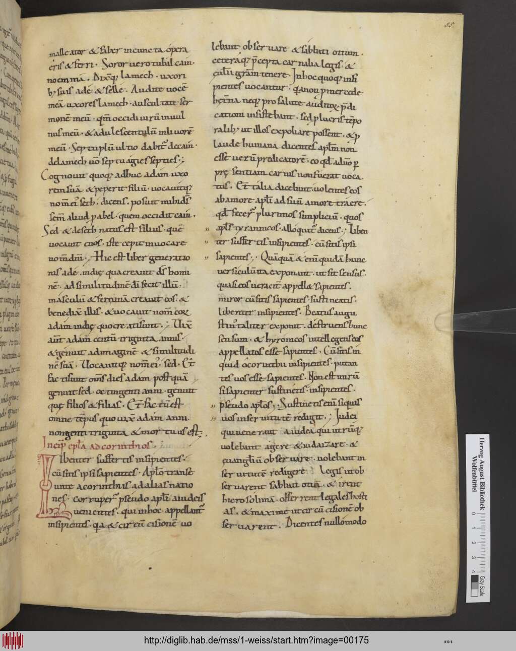 http://diglib.hab.de/mss/1-weiss/00175.jpg