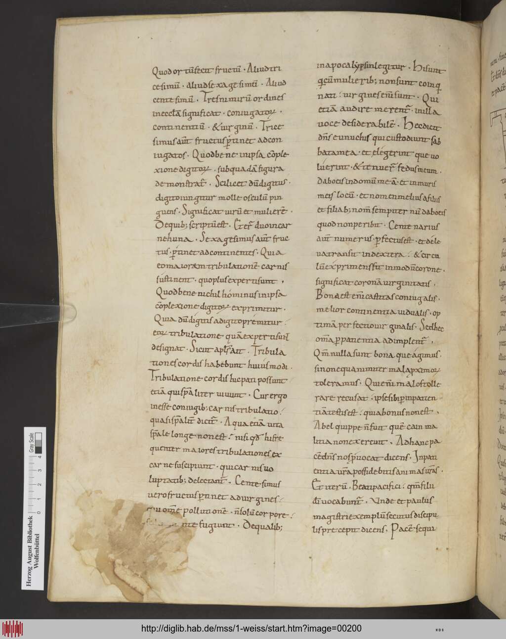 http://diglib.hab.de/mss/1-weiss/00200.jpg