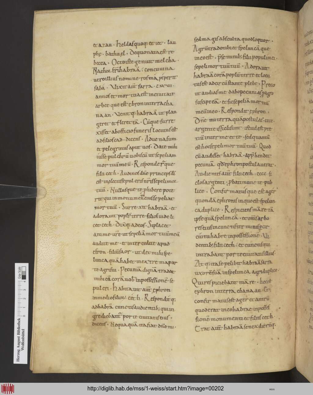 http://diglib.hab.de/mss/1-weiss/00202.jpg