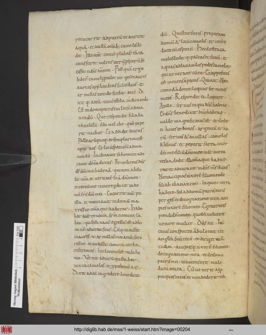 http://diglib.hab.de/mss/1-weiss/00204.jpg