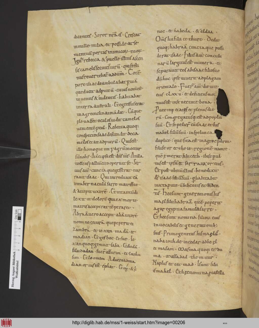 http://diglib.hab.de/mss/1-weiss/00206.jpg