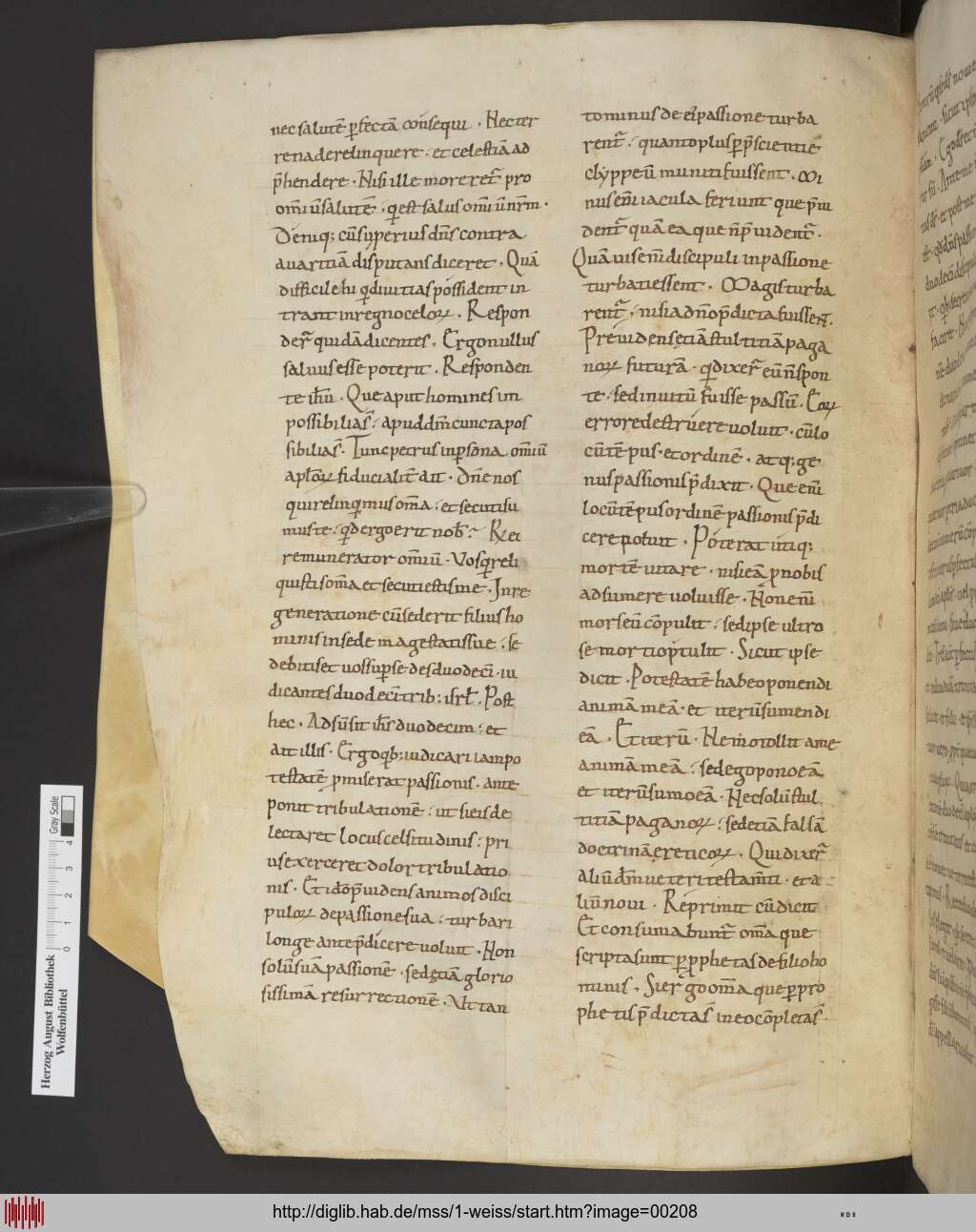 http://diglib.hab.de/mss/1-weiss/00208.jpg