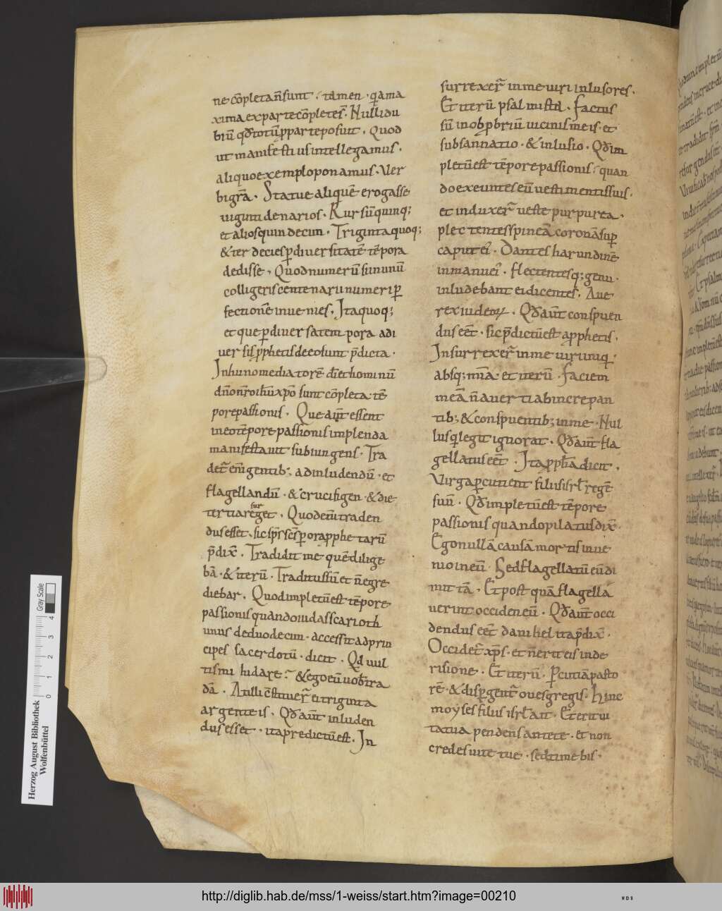 http://diglib.hab.de/mss/1-weiss/00210.jpg