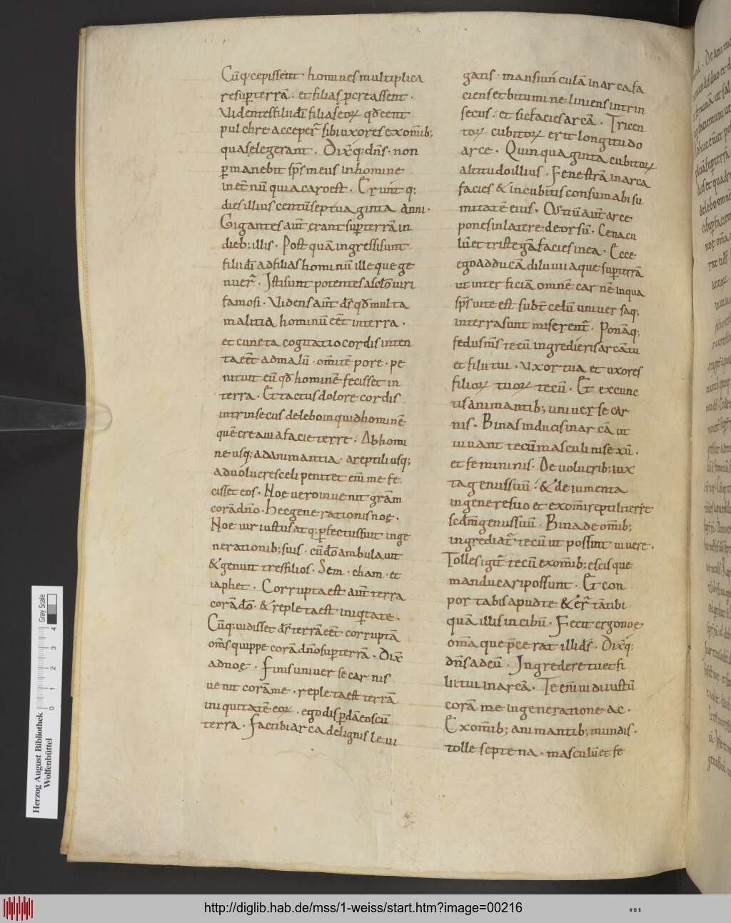 http://diglib.hab.de/mss/1-weiss/00216.jpg