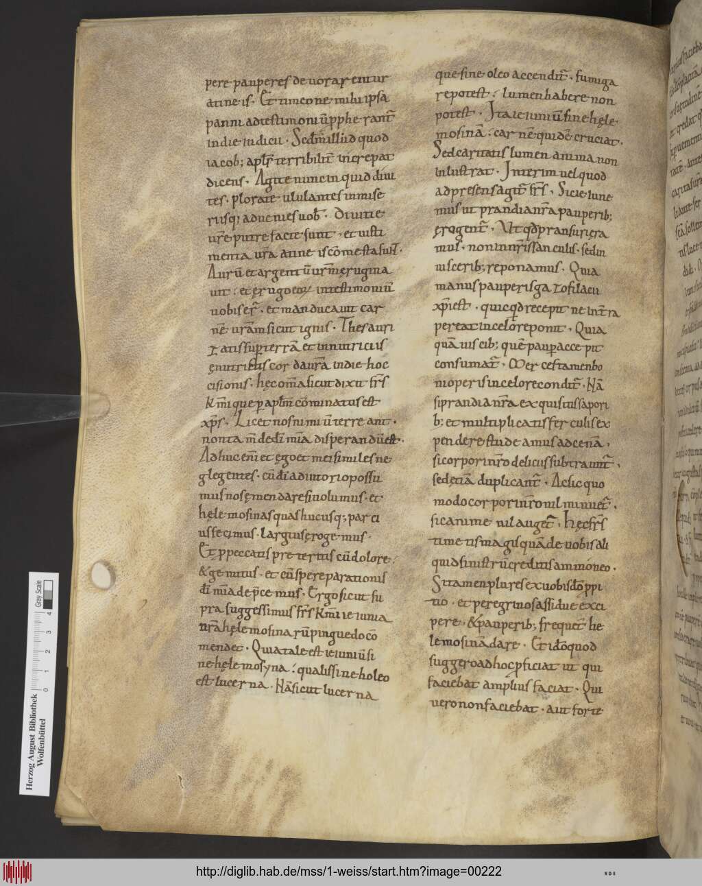 http://diglib.hab.de/mss/1-weiss/00222.jpg