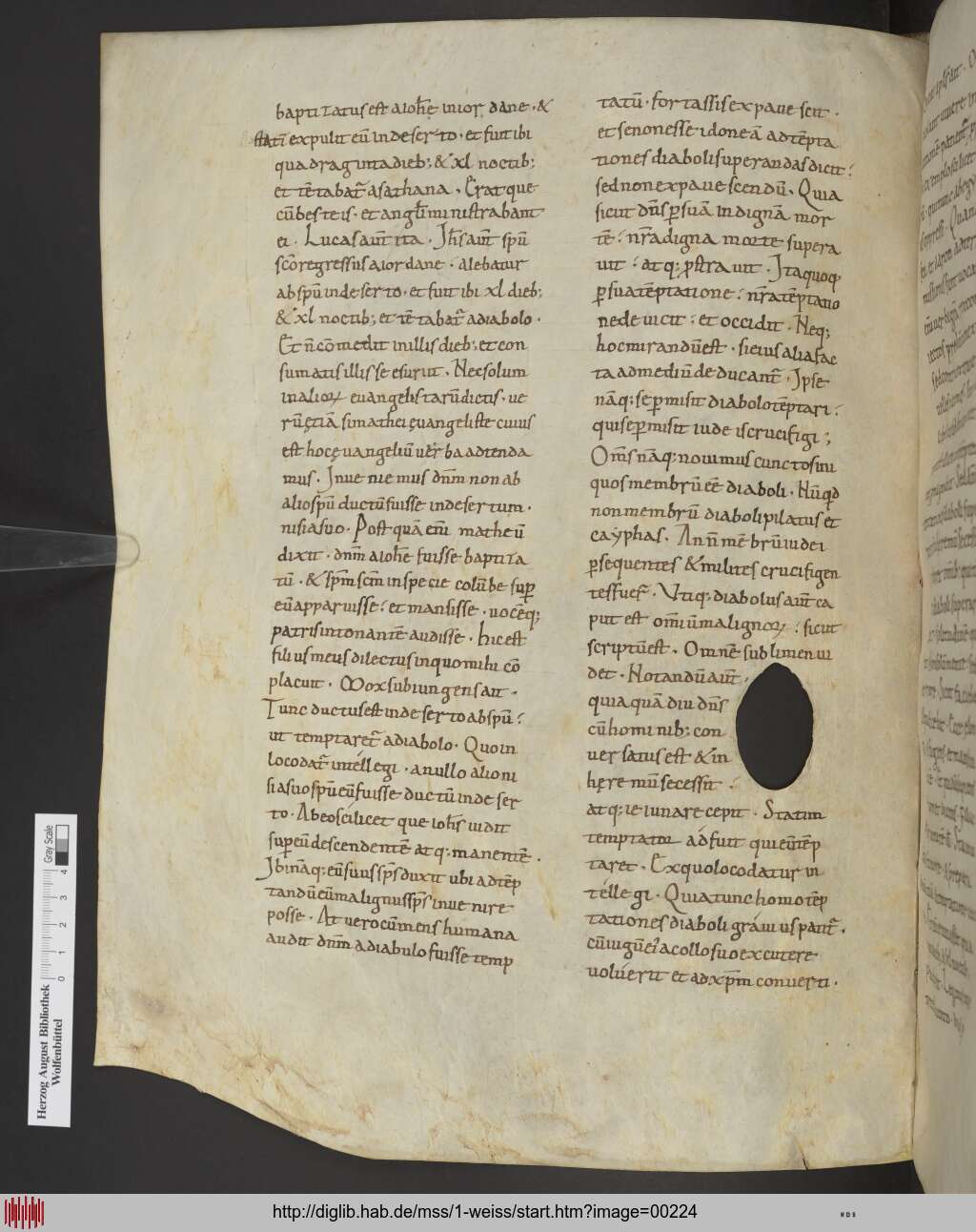 http://diglib.hab.de/mss/1-weiss/00224.jpg