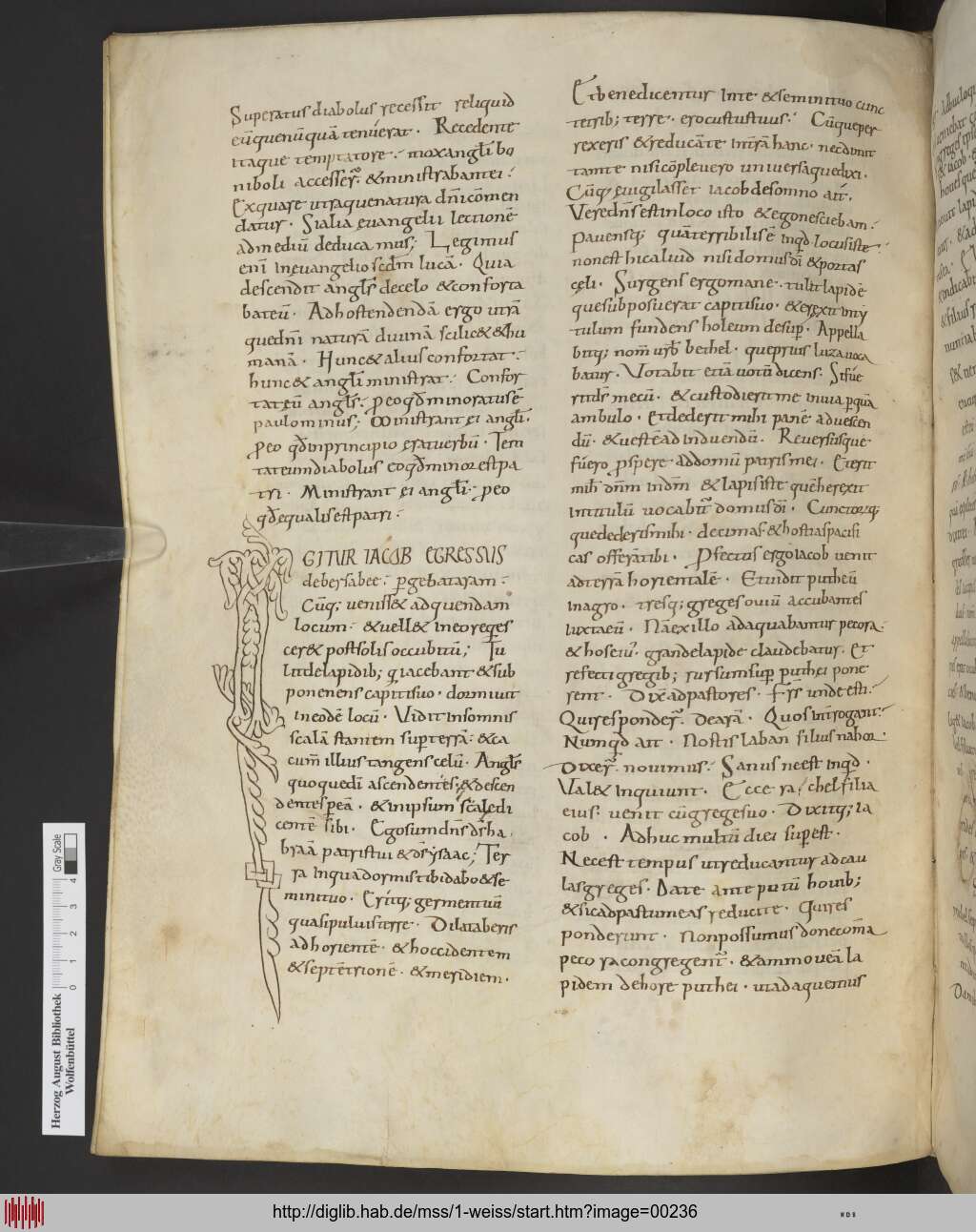 http://diglib.hab.de/mss/1-weiss/00236.jpg
