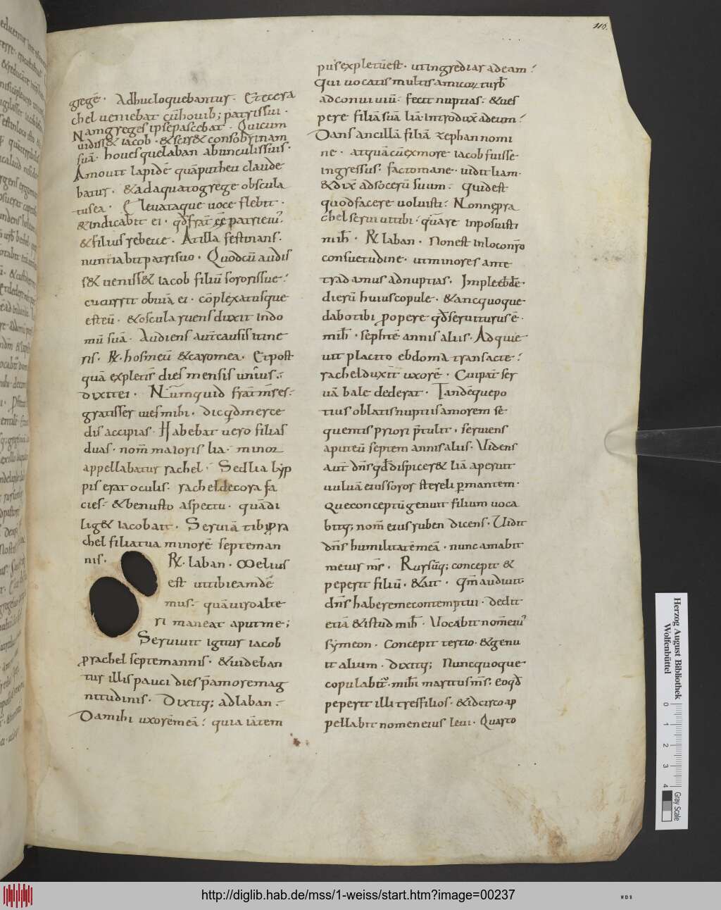 http://diglib.hab.de/mss/1-weiss/00237.jpg