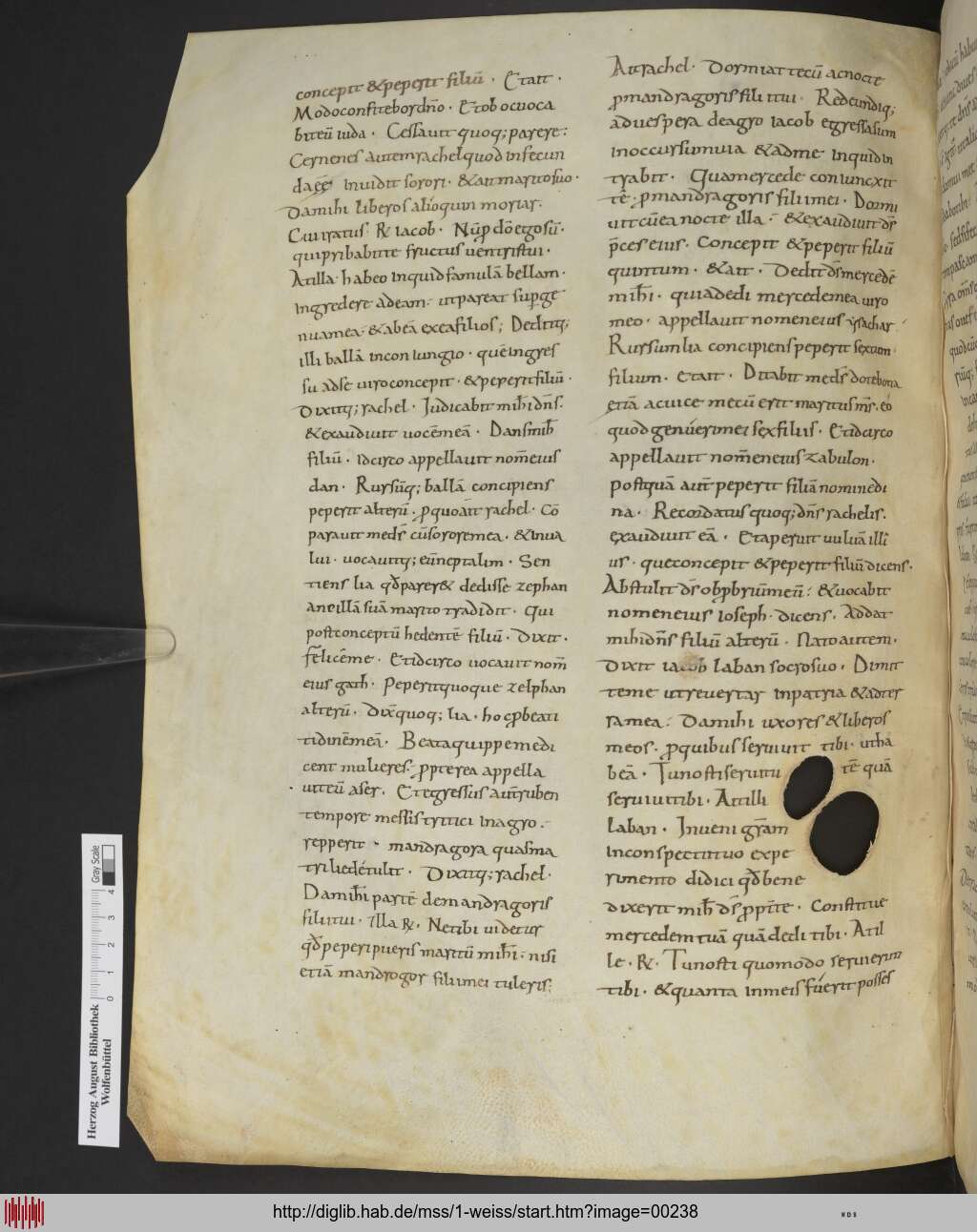 http://diglib.hab.de/mss/1-weiss/00238.jpg