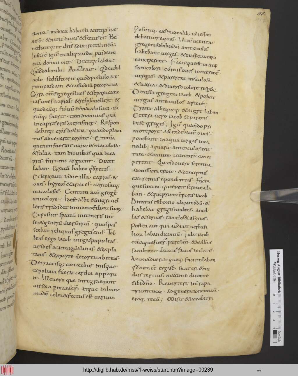 http://diglib.hab.de/mss/1-weiss/00239.jpg
