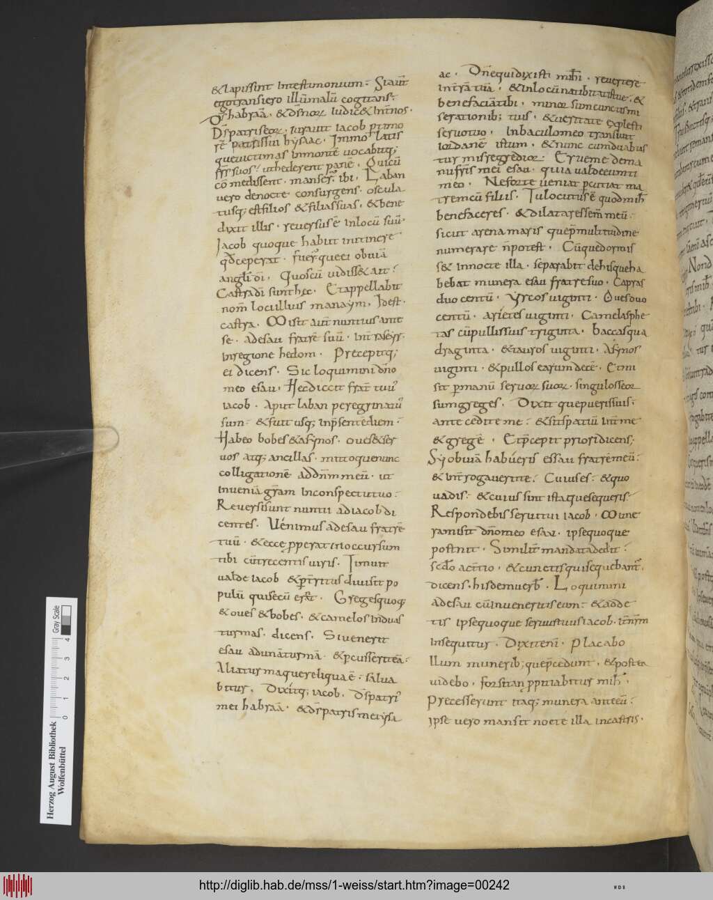 http://diglib.hab.de/mss/1-weiss/00242.jpg
