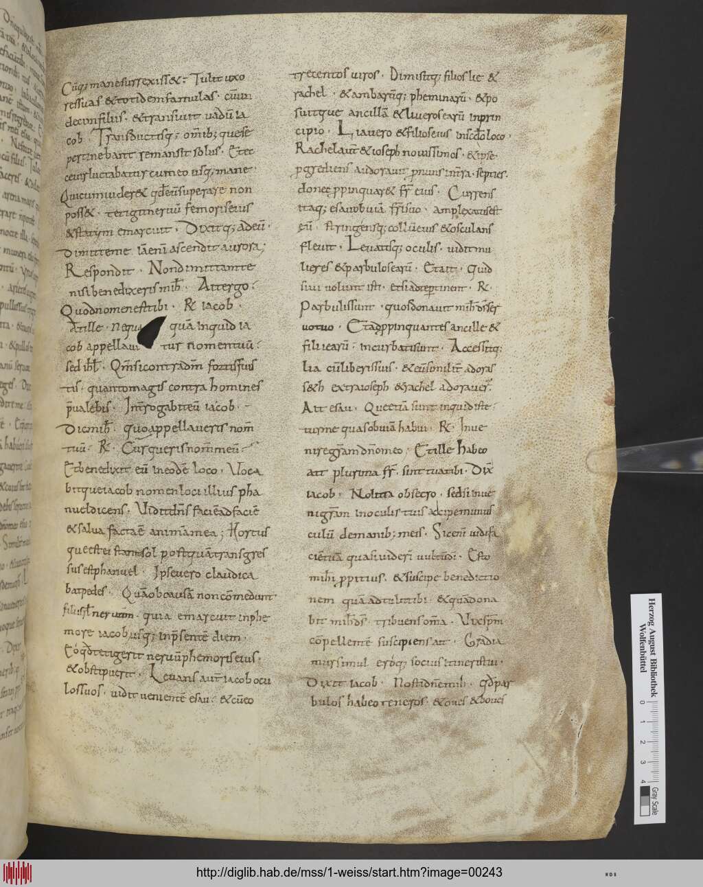 http://diglib.hab.de/mss/1-weiss/00243.jpg
