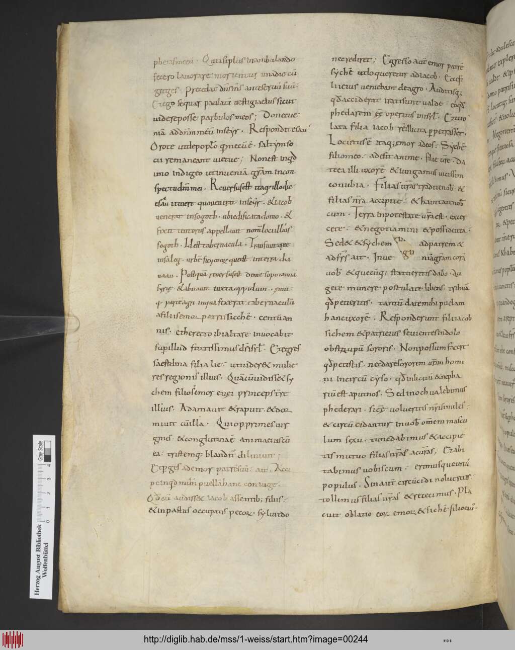 http://diglib.hab.de/mss/1-weiss/00244.jpg
