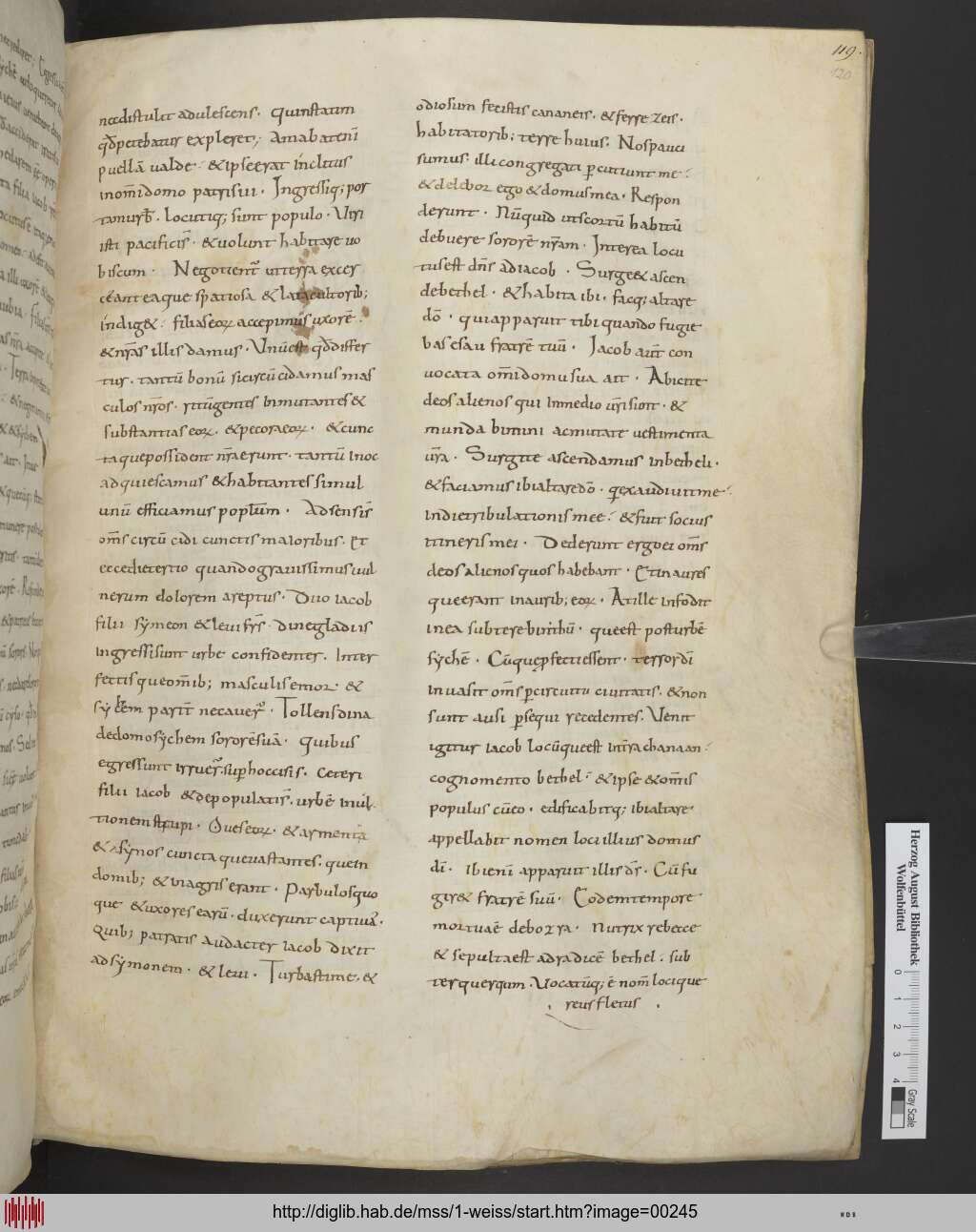 http://diglib.hab.de/mss/1-weiss/00245.jpg