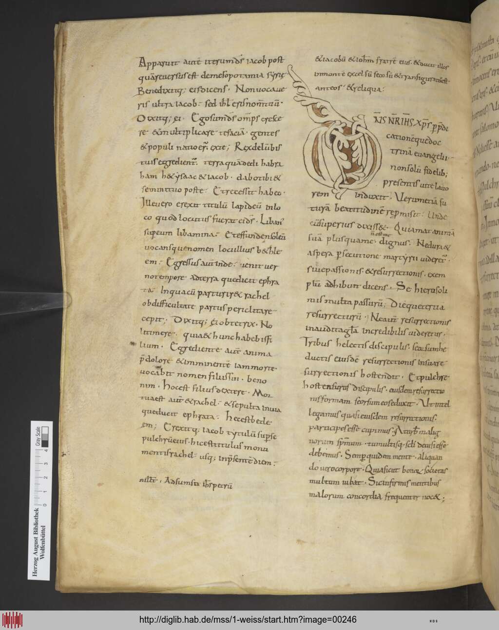 http://diglib.hab.de/mss/1-weiss/00246.jpg