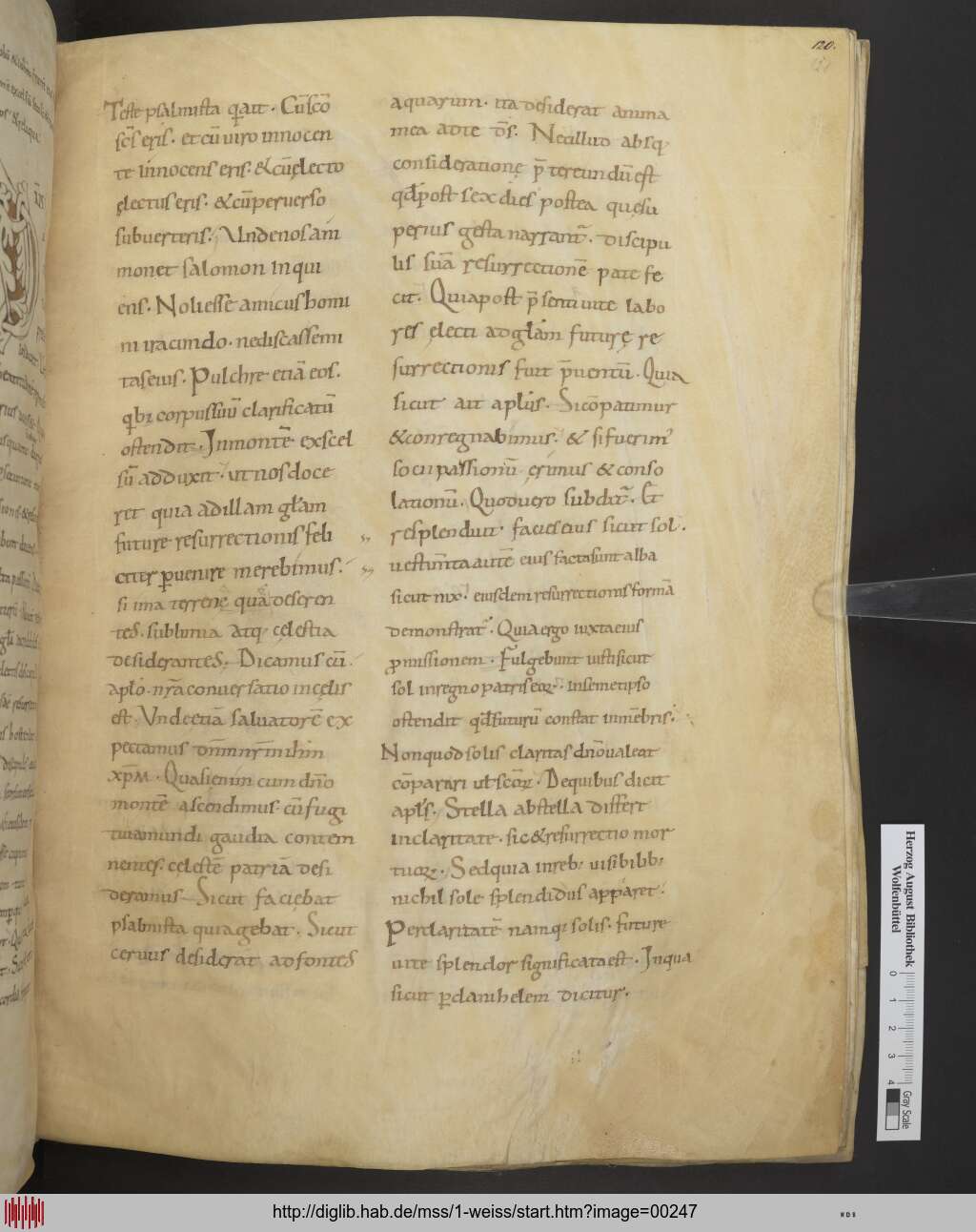 http://diglib.hab.de/mss/1-weiss/00247.jpg