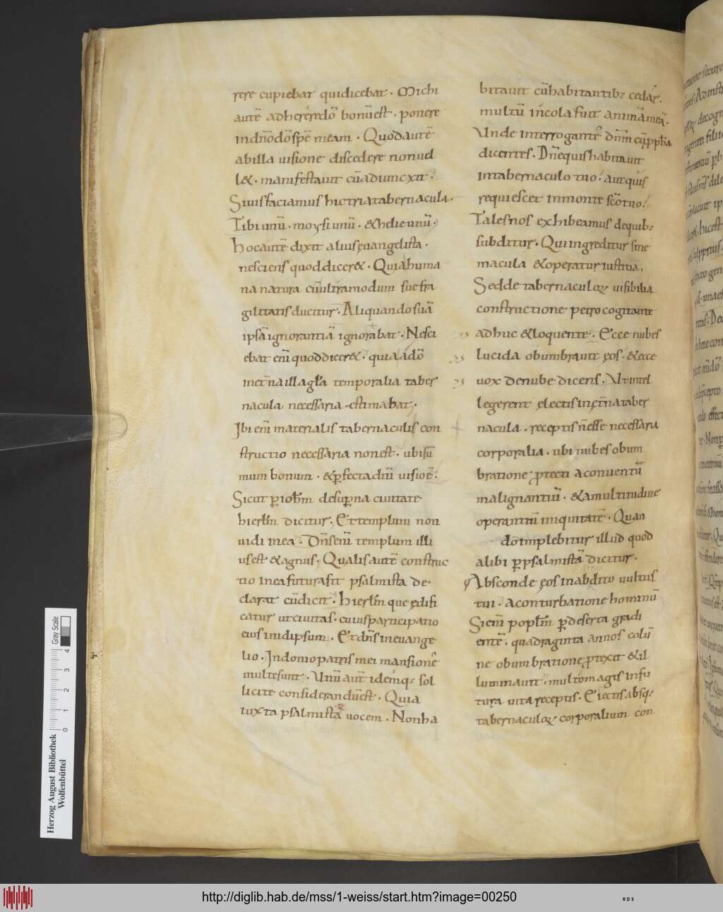 http://diglib.hab.de/mss/1-weiss/00250.jpg