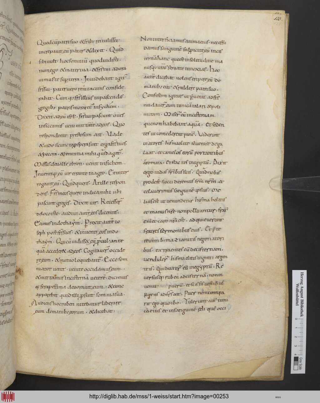 http://diglib.hab.de/mss/1-weiss/00253.jpg