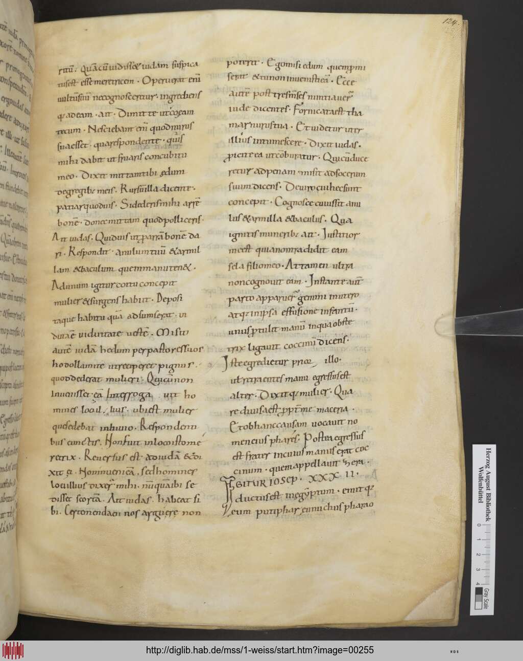 http://diglib.hab.de/mss/1-weiss/00255.jpg