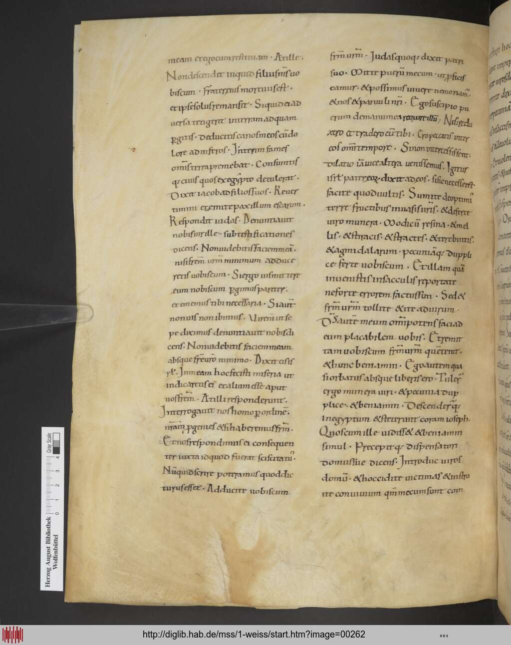 http://diglib.hab.de/mss/1-weiss/00262.jpg
