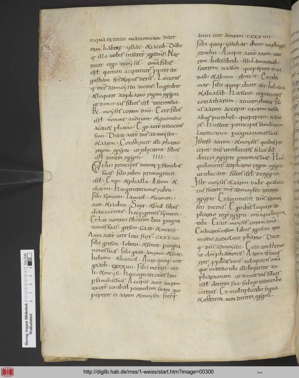 http://diglib.hab.de/mss/1-weiss/00300.jpg