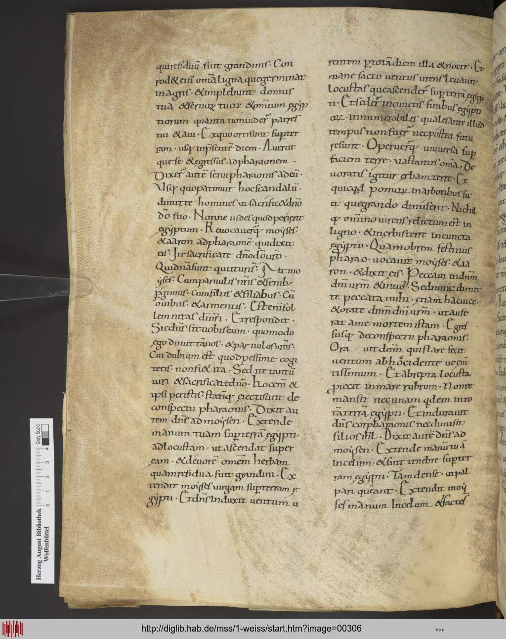 http://diglib.hab.de/mss/1-weiss/00306.jpg