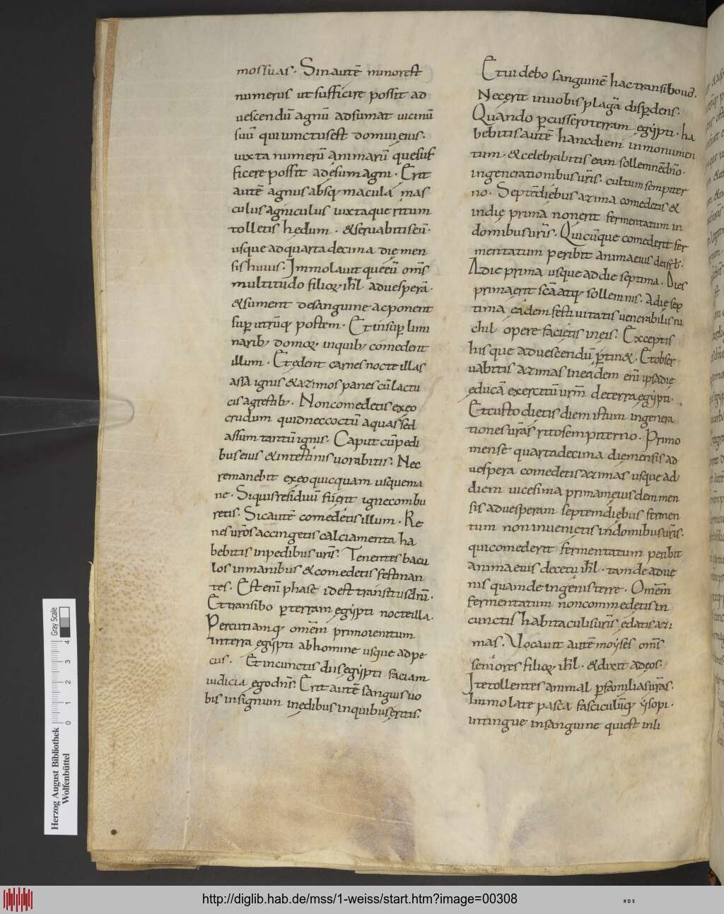 http://diglib.hab.de/mss/1-weiss/00308.jpg