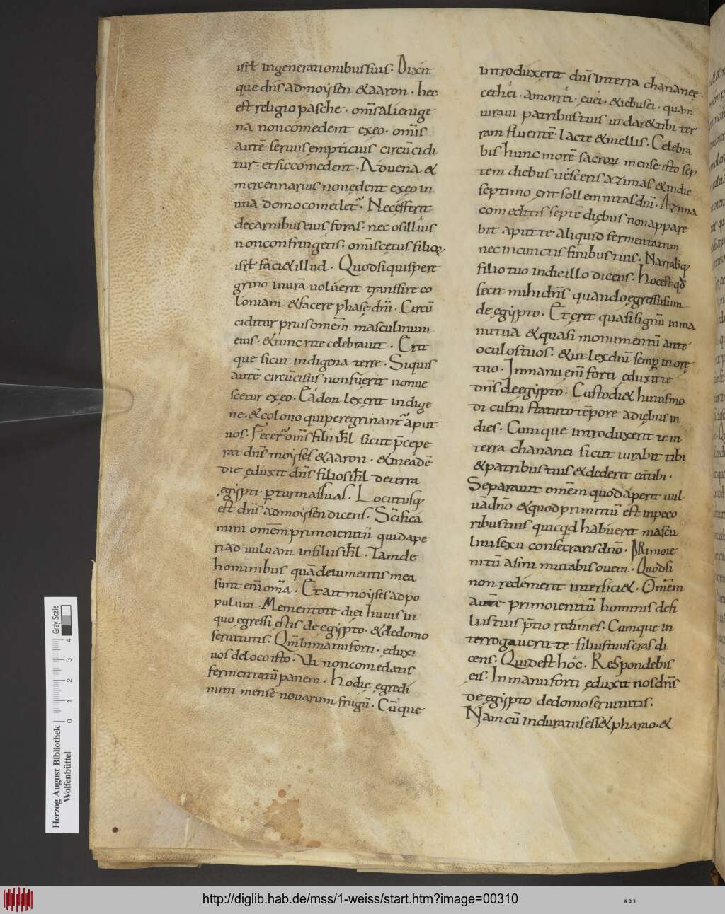 http://diglib.hab.de/mss/1-weiss/00310.jpg