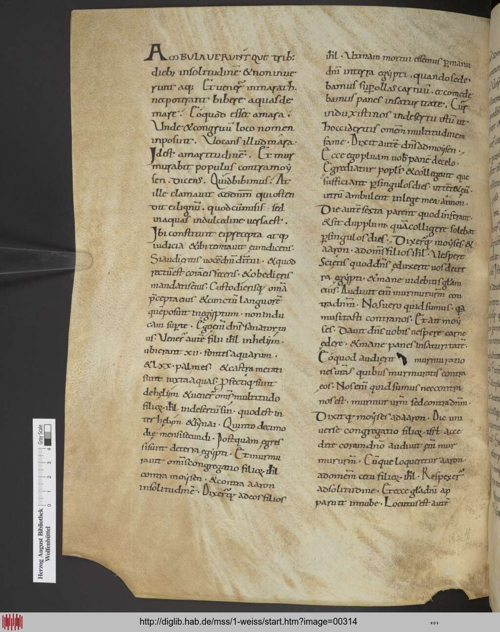 http://diglib.hab.de/mss/1-weiss/00314.jpg