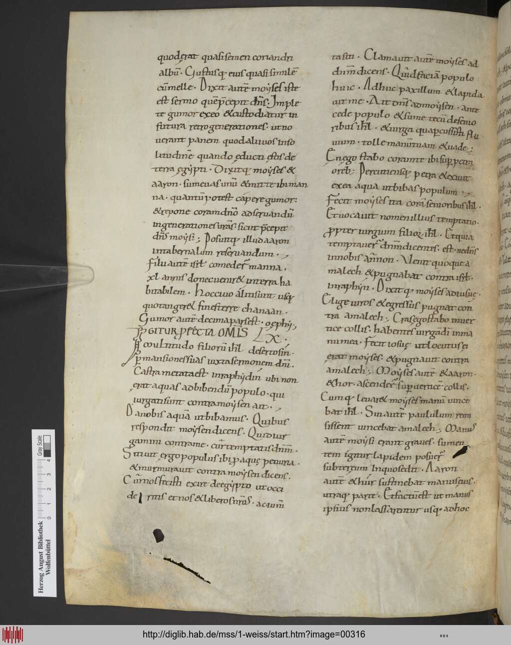 http://diglib.hab.de/mss/1-weiss/00316.jpg