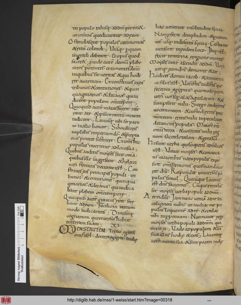 http://diglib.hab.de/mss/1-weiss/00318.jpg
