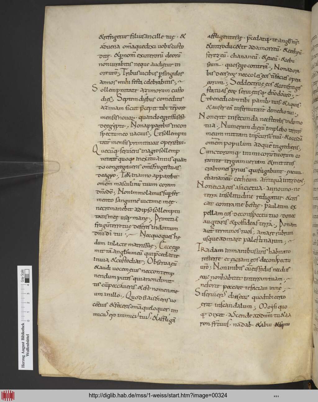 http://diglib.hab.de/mss/1-weiss/00324.jpg