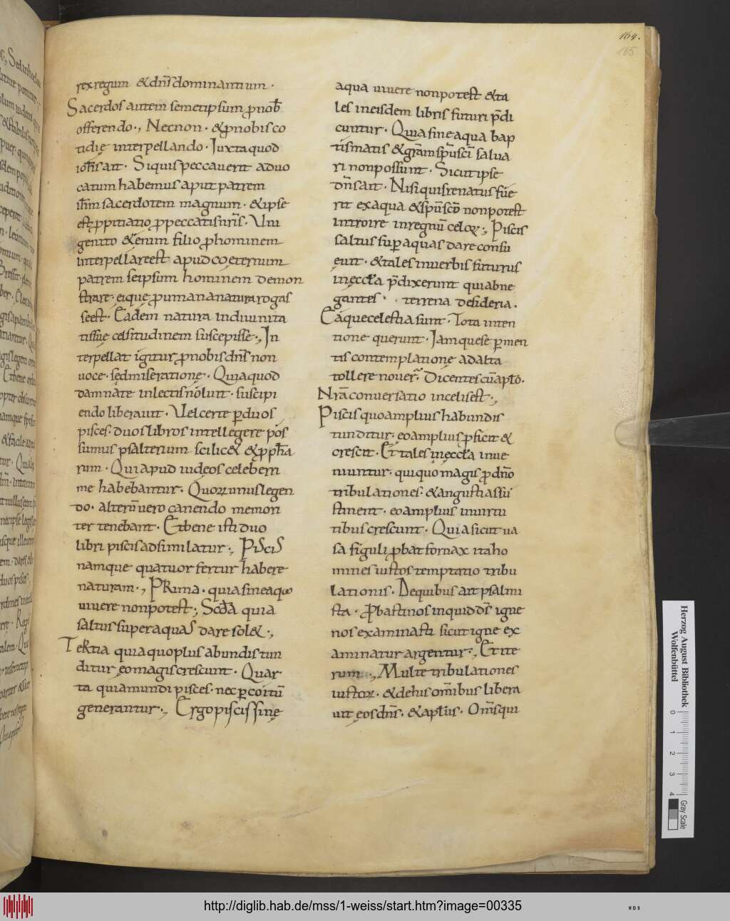 http://diglib.hab.de/mss/1-weiss/00335.jpg