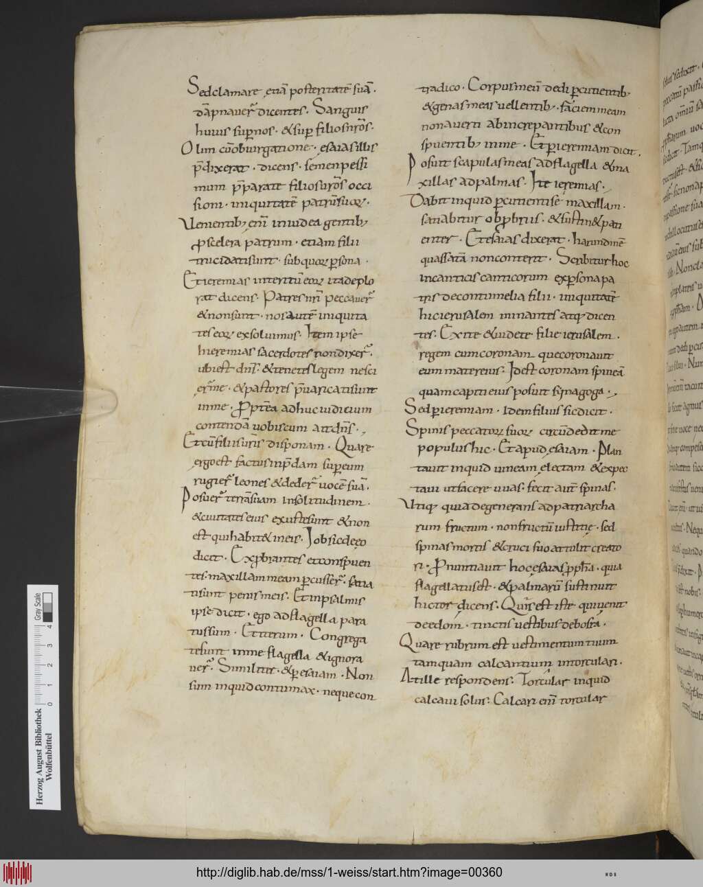 http://diglib.hab.de/mss/1-weiss/00360.jpg