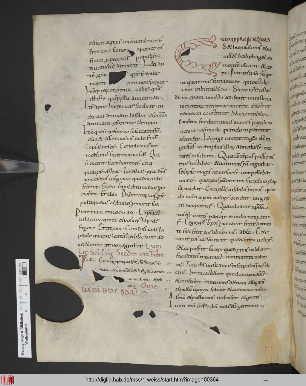 http://diglib.hab.de/mss/1-weiss/00364.jpg