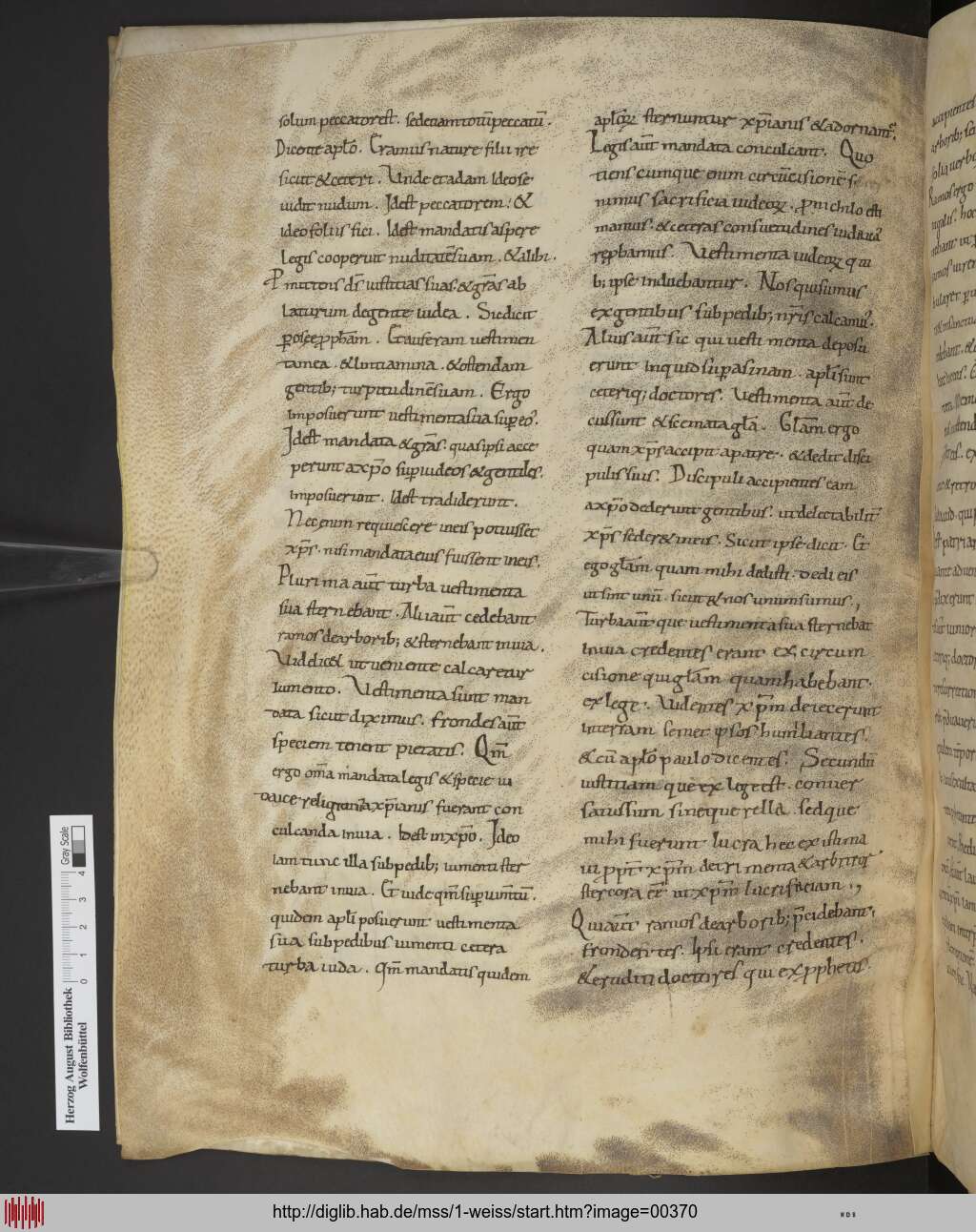 http://diglib.hab.de/mss/1-weiss/00370.jpg