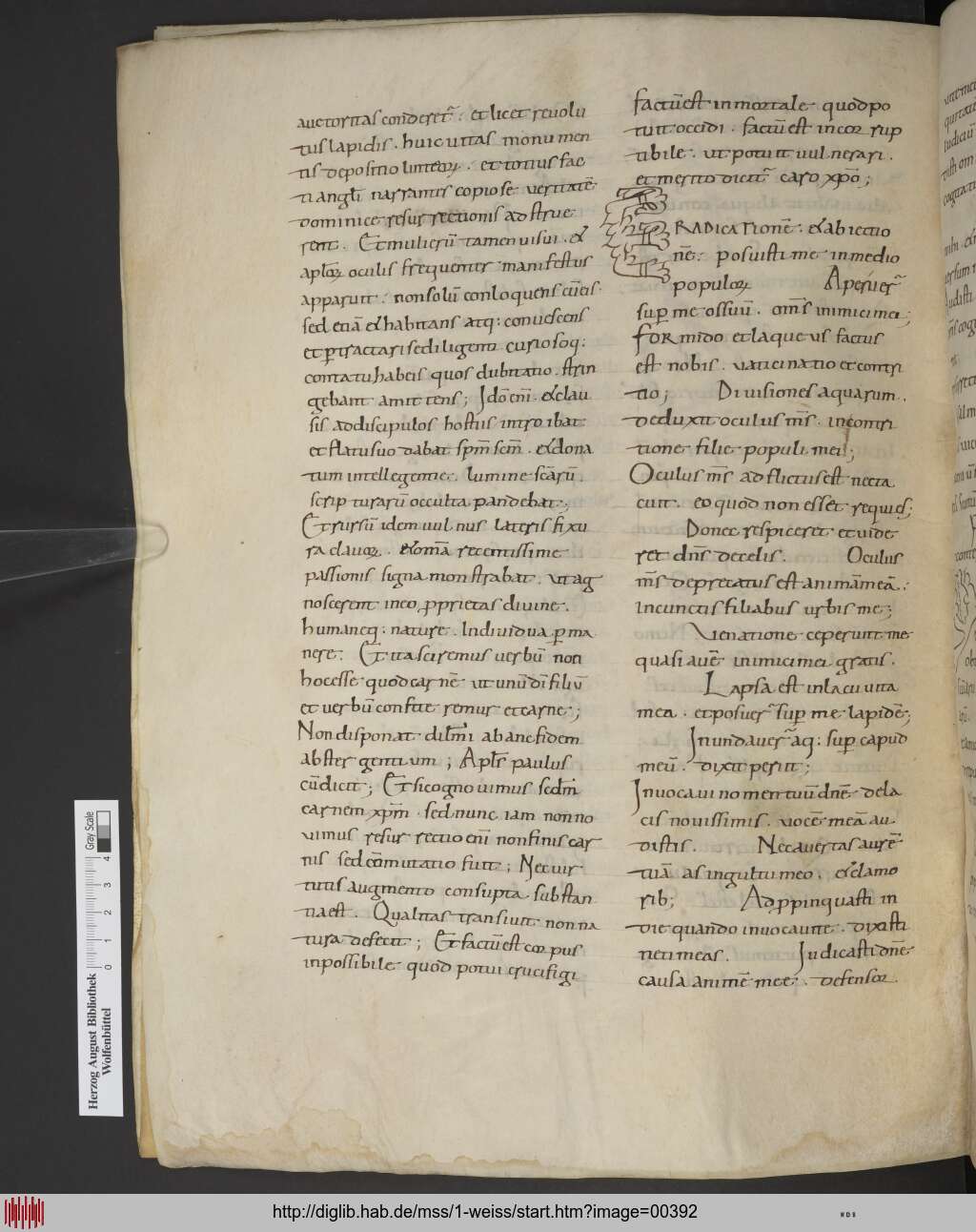 http://diglib.hab.de/mss/1-weiss/00392.jpg