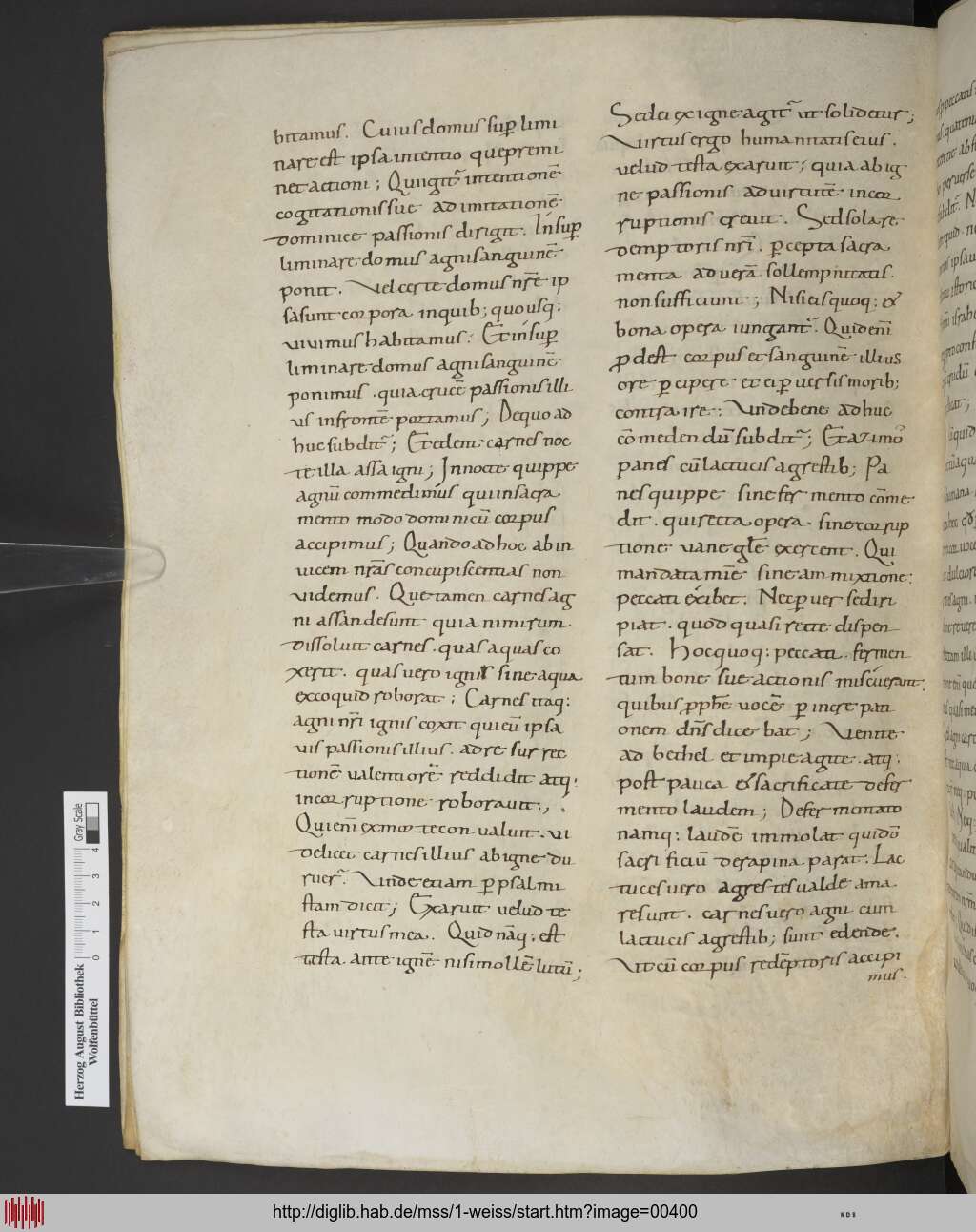 http://diglib.hab.de/mss/1-weiss/00400.jpg