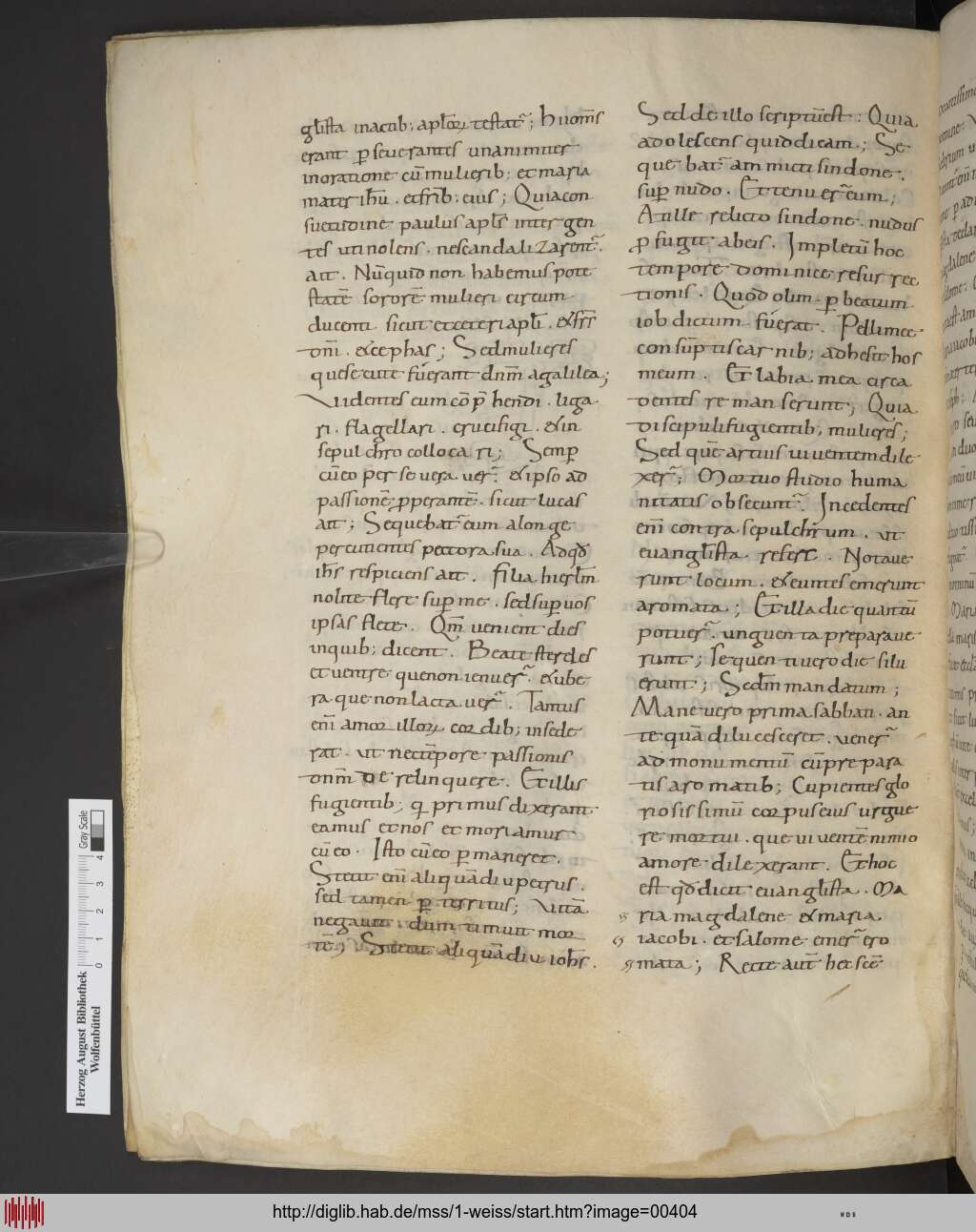 http://diglib.hab.de/mss/1-weiss/00404.jpg