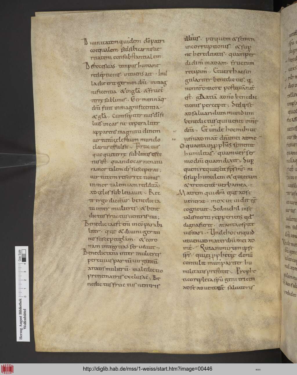 http://diglib.hab.de/mss/1-weiss/00446.jpg