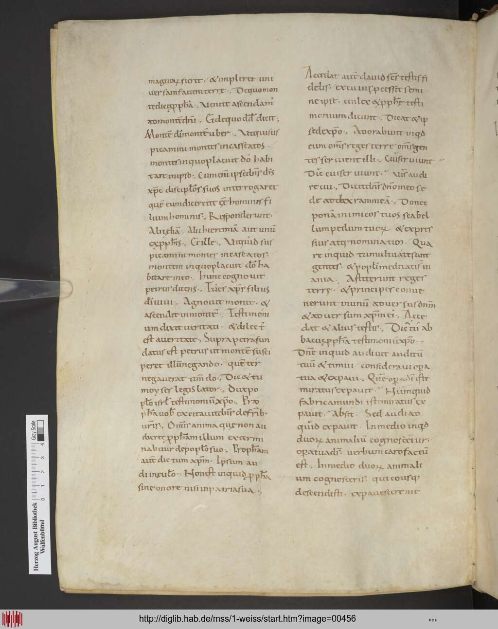 http://diglib.hab.de/mss/1-weiss/00456.jpg