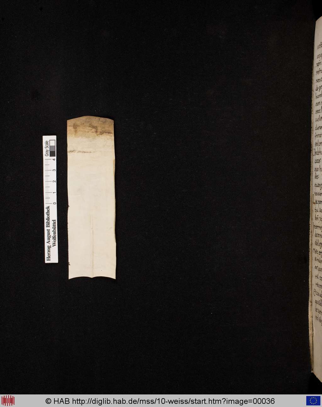 http://diglib.hab.de/mss/10-weiss/00036.jpg