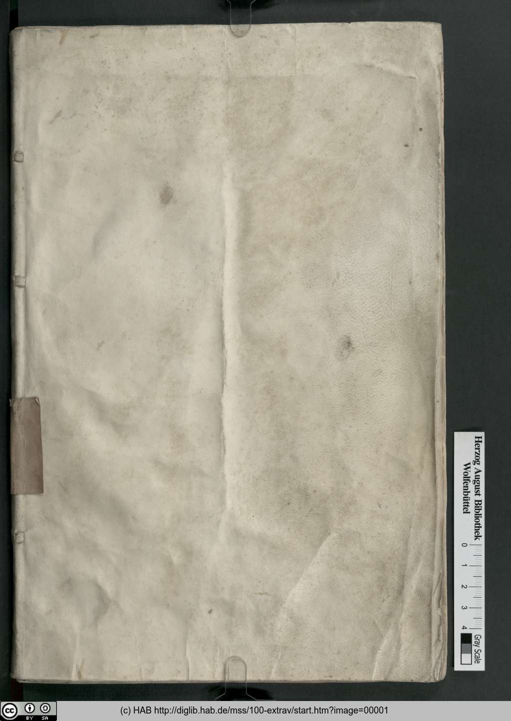 http://diglib.hab.de/mss/100-extrav/00001.jpg
